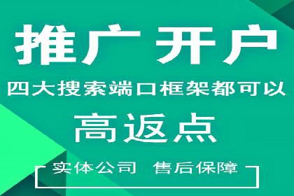 SEM托管优化案例：打造精准广告投放策略